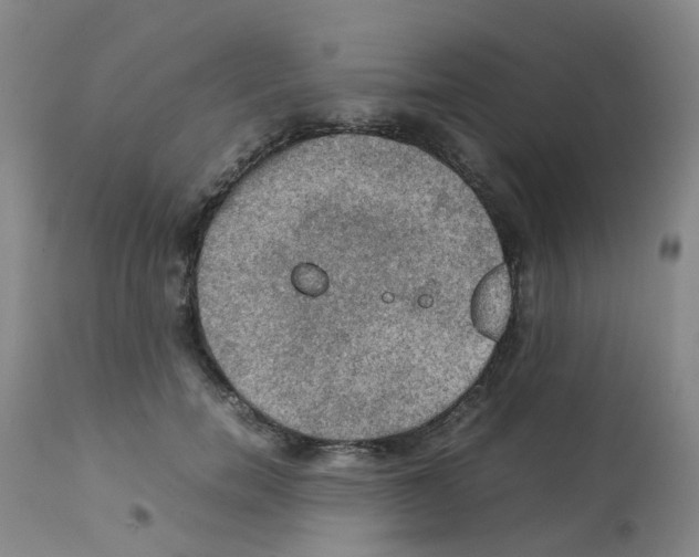 X0000112090750200909151136