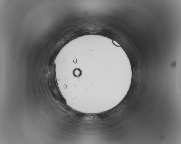 X0000112090752200909151136