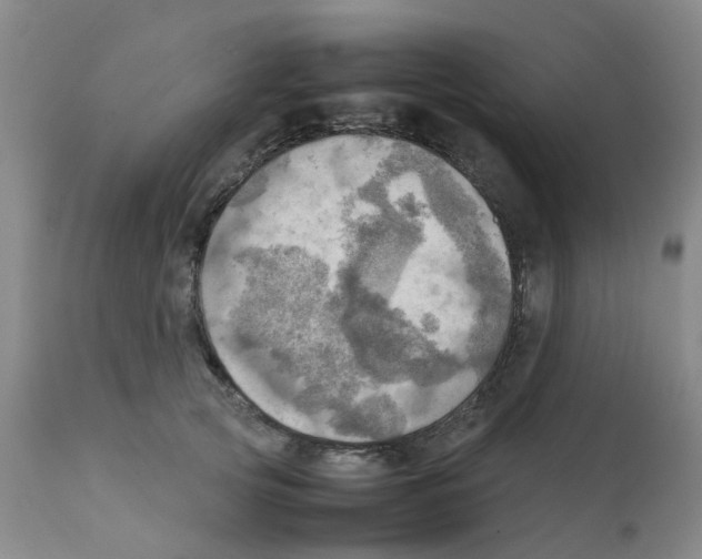 X0000112090753200909151136