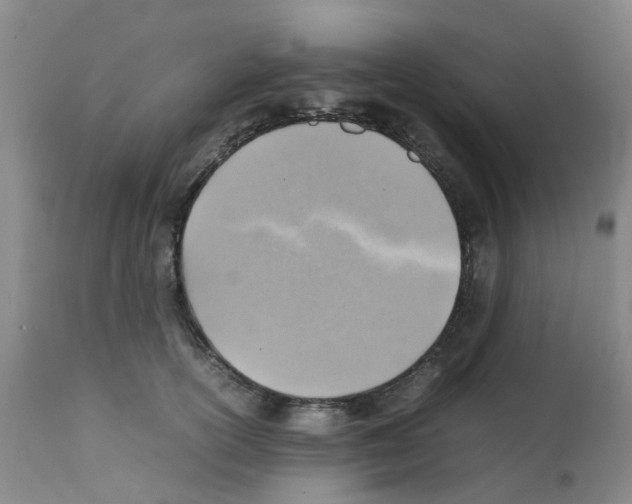 X0000112090754200909151136