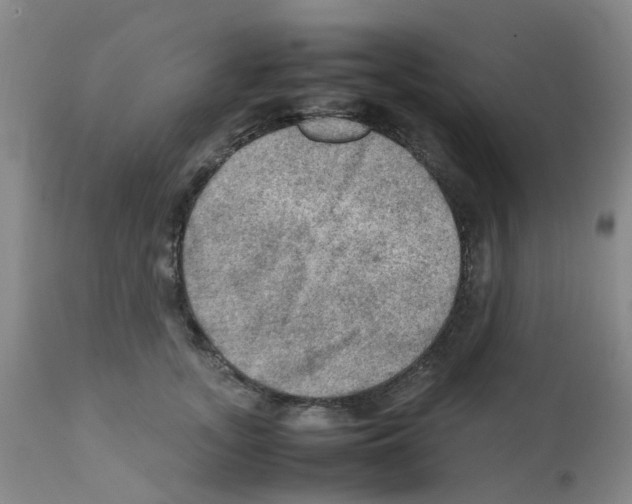 X0000112090755200909151136
