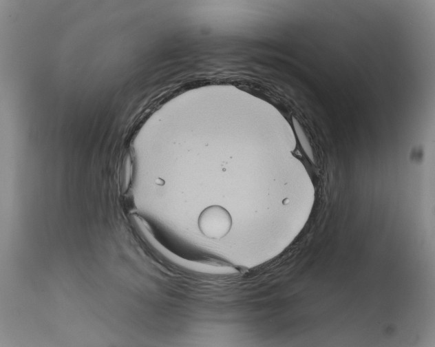 X0000112090756200909151136