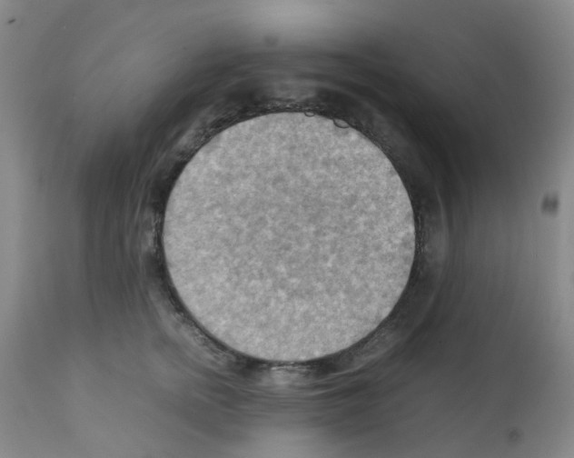 X0000112090758200909151136