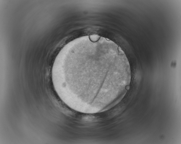 X0000112090759200909151136