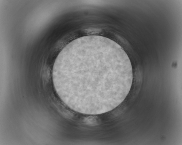 X0000112090761200909151136