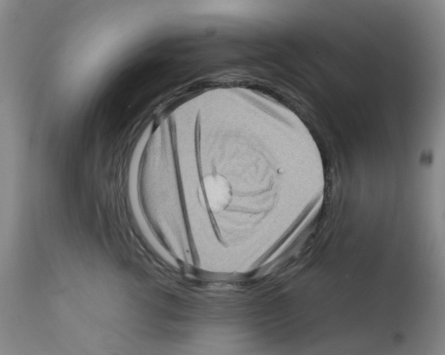 X0000112090762200909151136