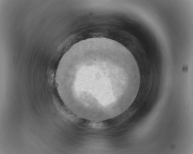 X0000112090767200909151136