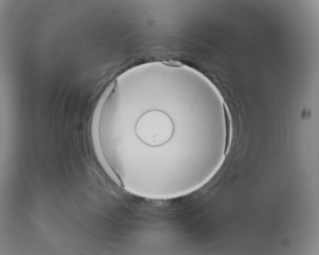 X0000112090768200909151136