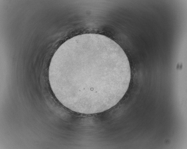 X0000112090769200909151135