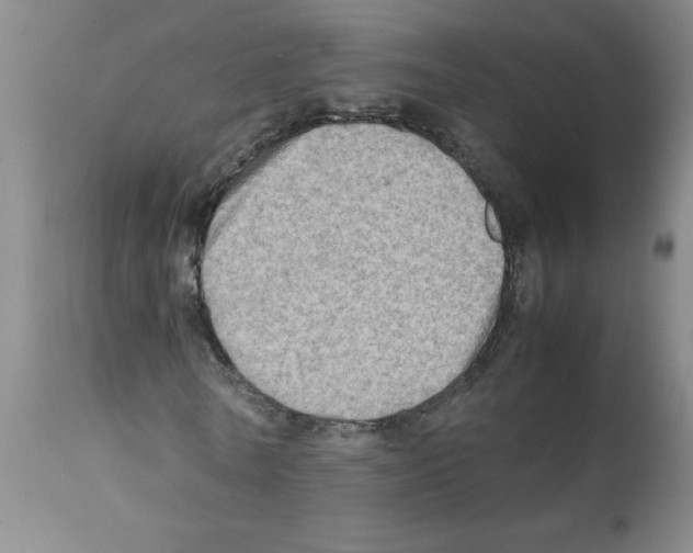 X0000112090770200909151135