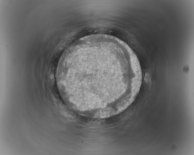 X0000112090771200909151135