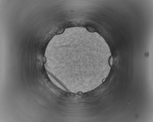X0000112090772200909151135