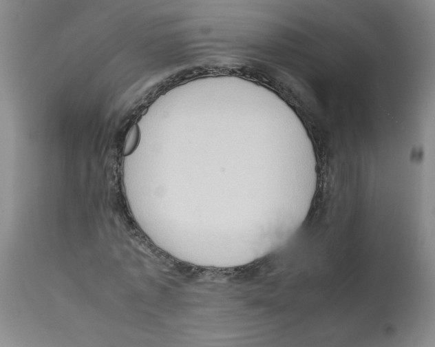 X0000112090773200909151135