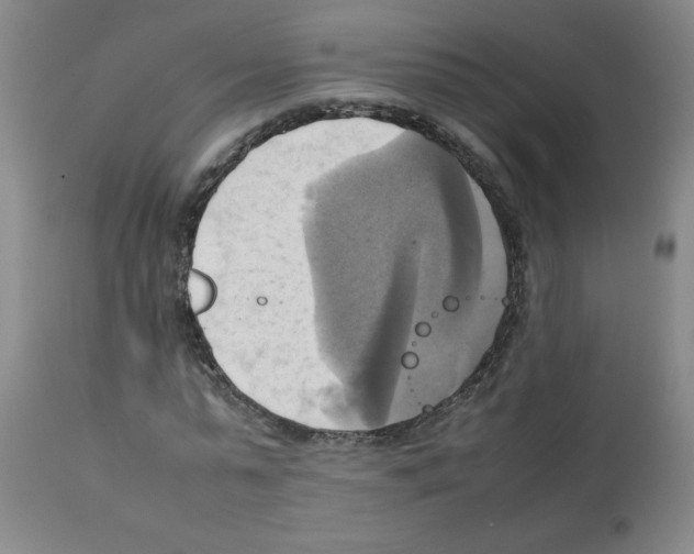 X0000112090775200909151135