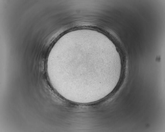 X0000112090777200909151135