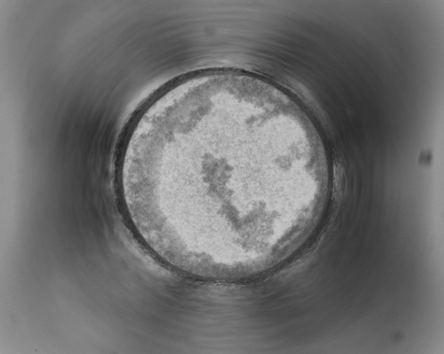X0000112090780200909151135