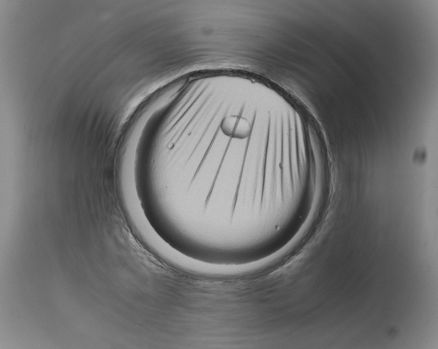 X0000112090781200909151135