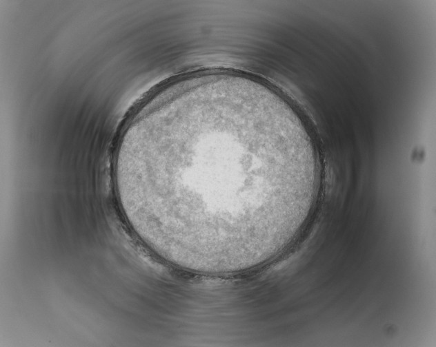X0000112090782200909151135