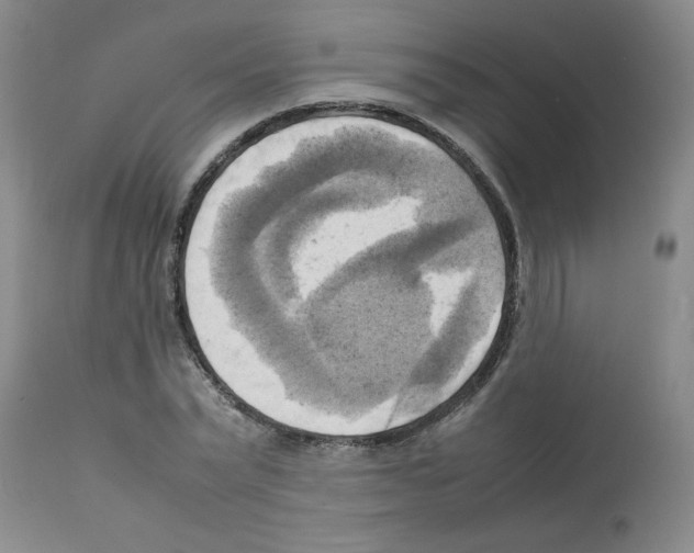X0000112090783200909151135