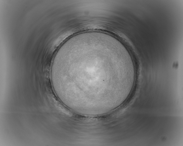 X0000112090785200909151135