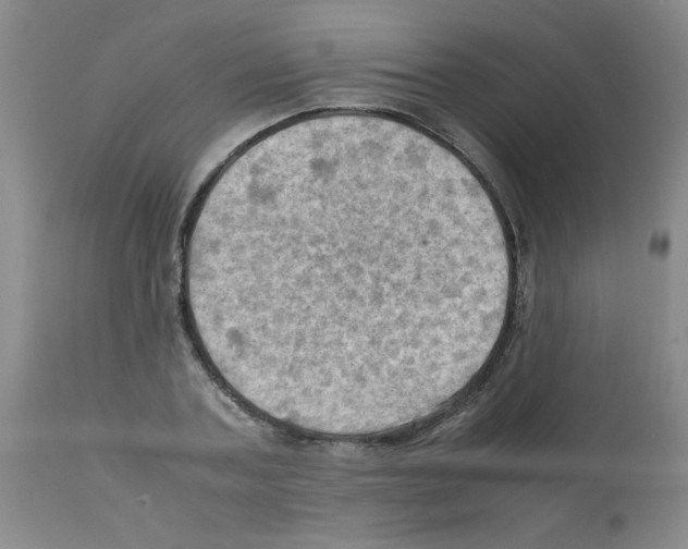 X0000112090787200909151135