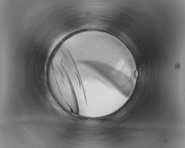 X0000112090788200909151135
