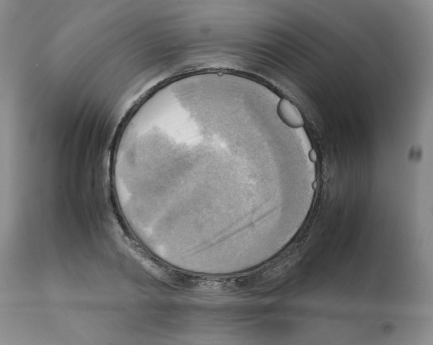 X0000112090790200909151135