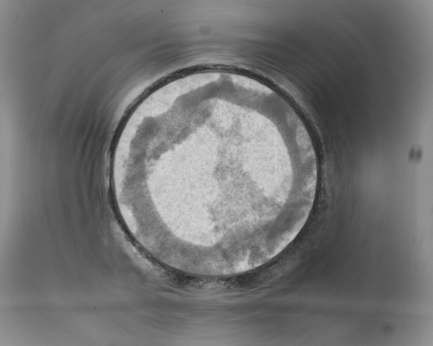 X0000112090791200909151135