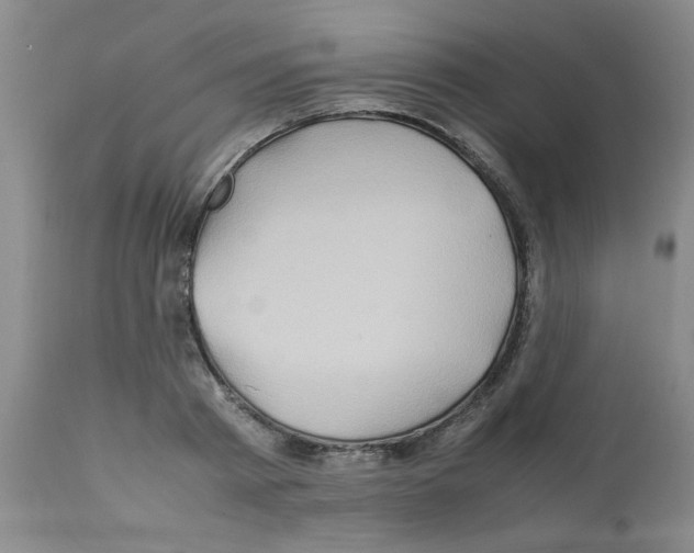 X0000112090793200909151135
