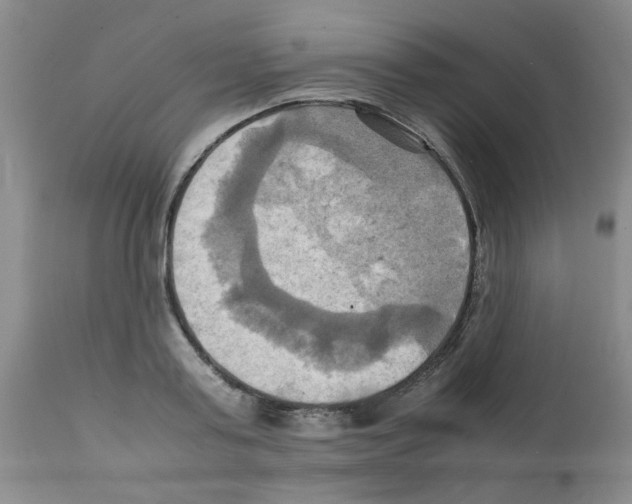 X0000112090795200909151135