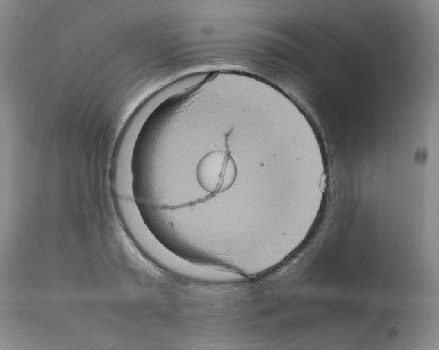 X0000112090797200909151135