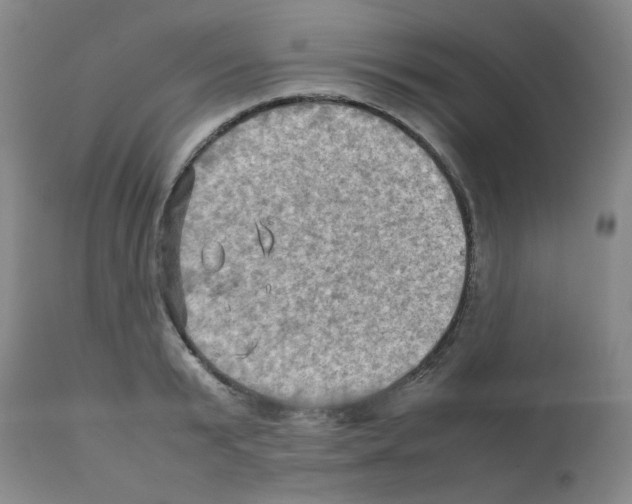 X0000112090799200909151135
