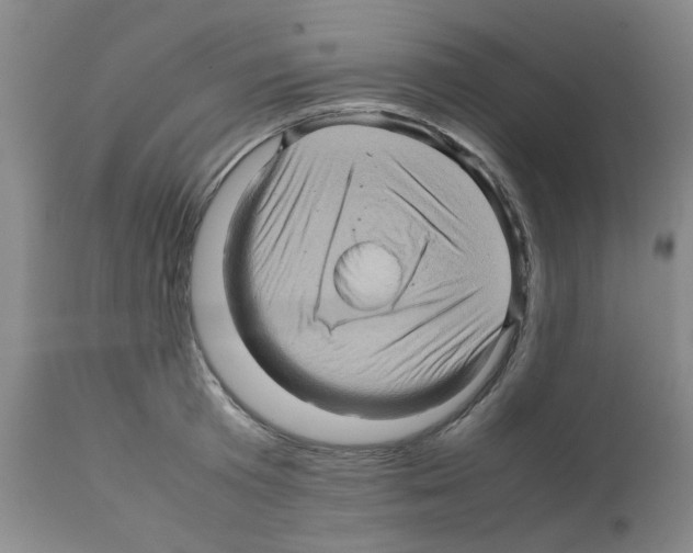 X0000112090801200909151135