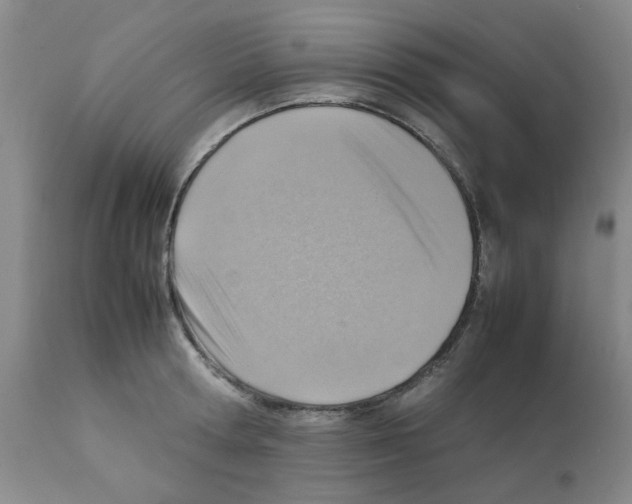 X0000112090802200909151135