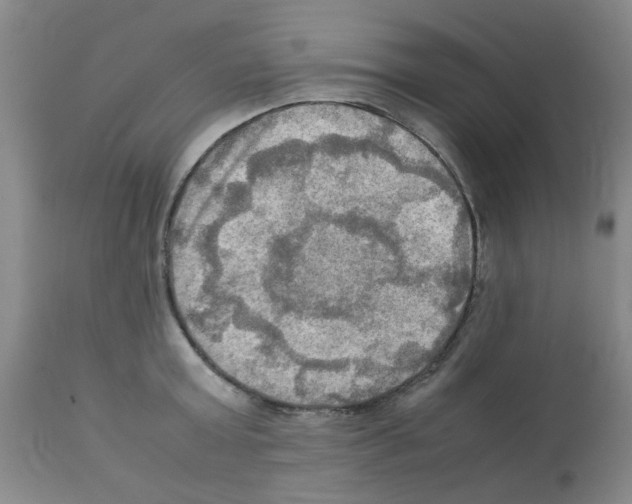 X0000112090803200909151135