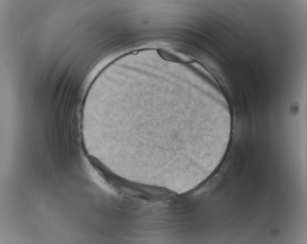 X0000112090808200909151135