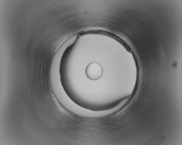 X0000112090809200909151135