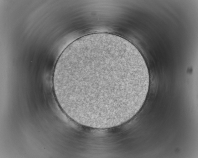 X0000112090810200909151135