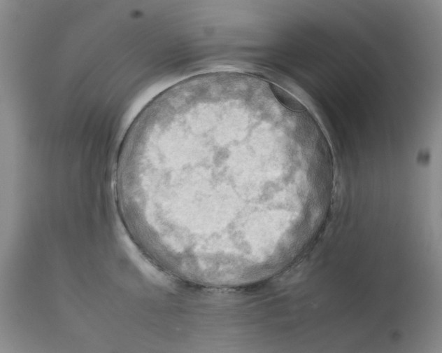 X0000112090811200909151135