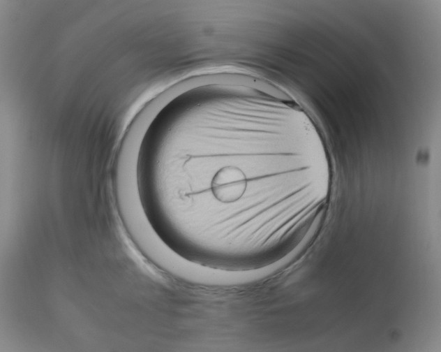 X0000112090813200909151135