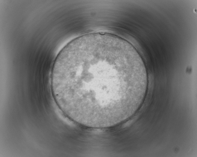 X0000112090814200909151135