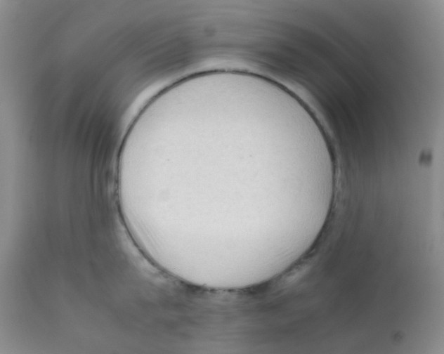 X0000112090815200909151135