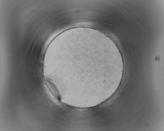 X0000112090816200909151135