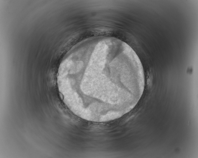X0000112090819200909151134