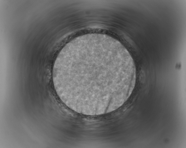 X0000112090821200909151134