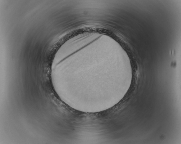X0000112090822200909151134