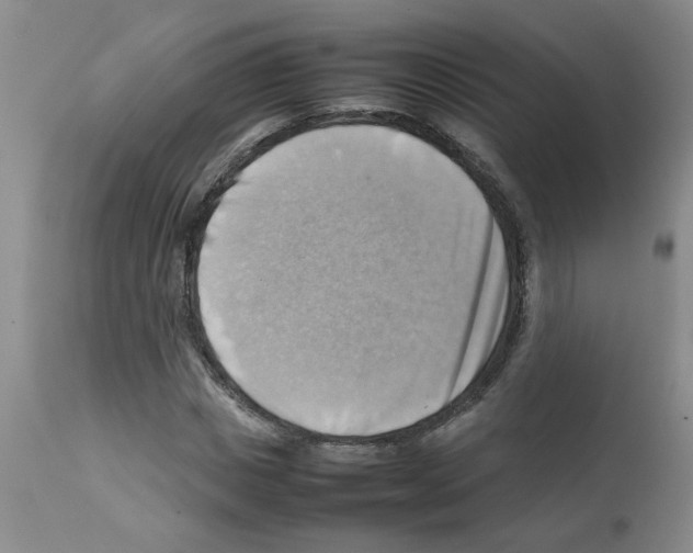 X0000112090825200909151134