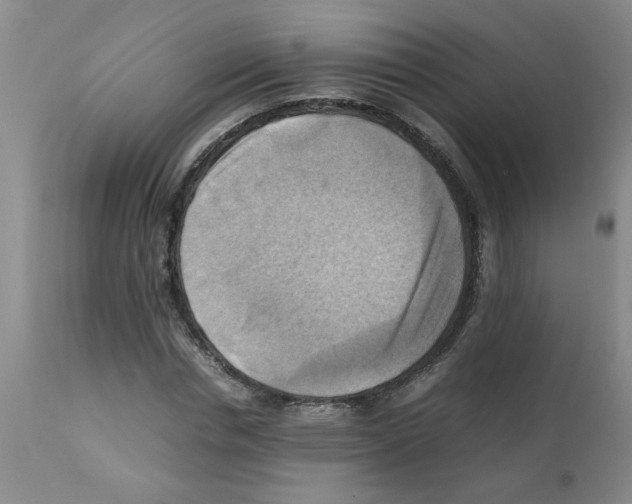X0000112090826200909151134