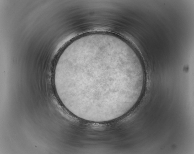 X0000112090827200909151134