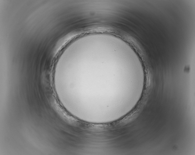 X0000112090828200909151134